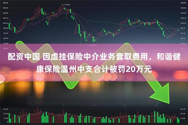 配资中国 因虚挂保险中介业务套取费用，和谐健康保险温州中支合计被罚20万元